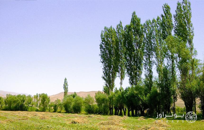 روستای زرین دشت تهران